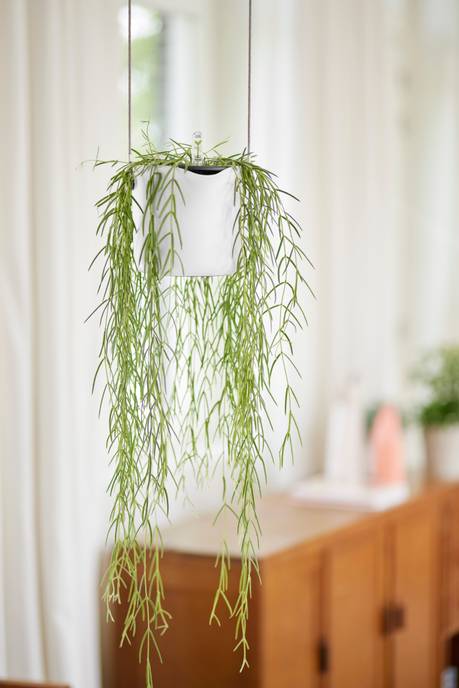 b.for swing 18cm blanc